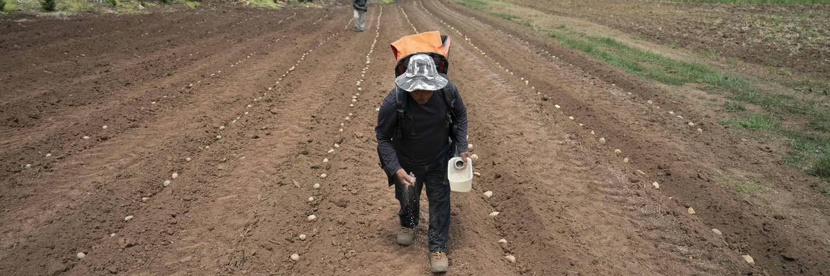 North Carolina Farmers Plant Crops Amid Extreme Drought Conditions