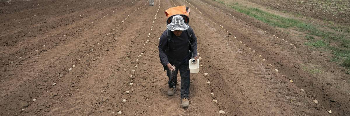North Carolina Farmers Plant Crops Amid Extreme Drought Conditions