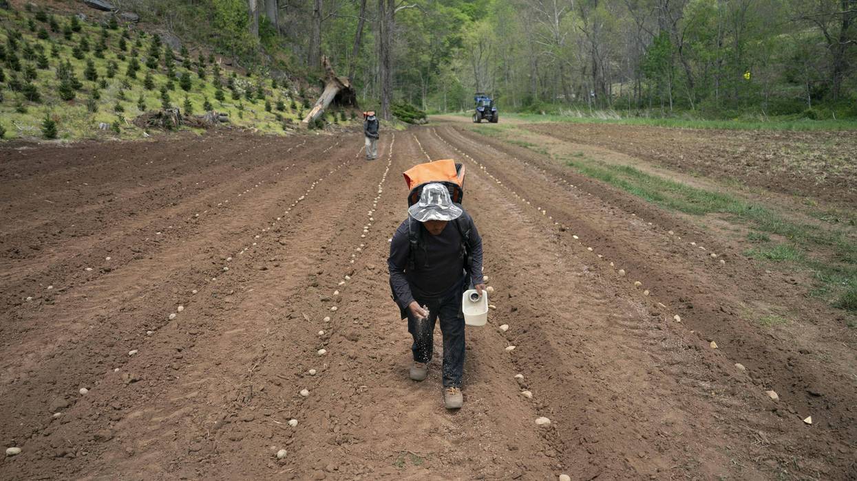 North Carolina Farmers Plant Crops Amid Extreme Drought Conditions