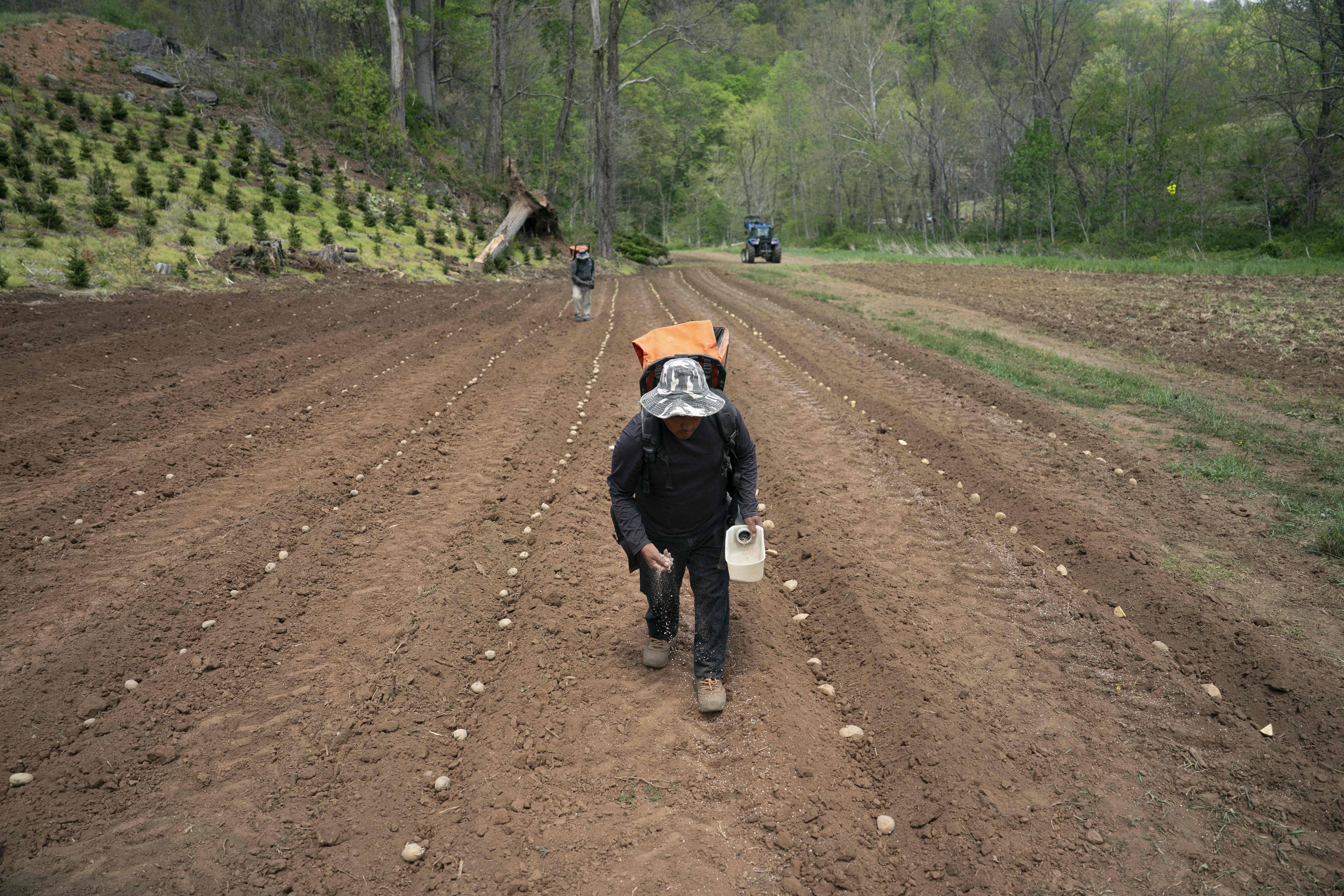 North Carolina Farmers Plant Crops Amid Extreme Drought Conditions