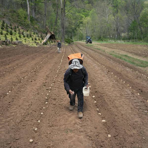 North Carolina Farmers Plant Crops Amid Extreme Drought Conditions