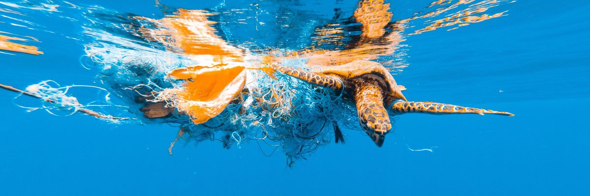 ocean plastics pollution