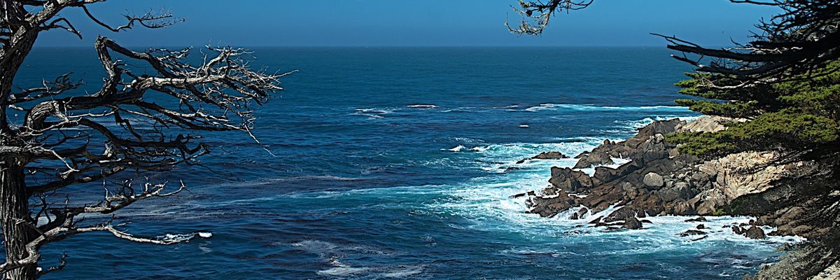 'Scary': CO2 Rates Climb Even as Emissions Stabilize