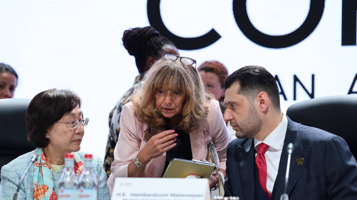Officials are seen at negotiations at the United Nations biodiversity meeting in Yerevan, Armenia