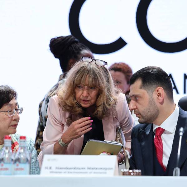 Officials are seen at negotiations at the United Nations biodiversity meeting in Yerevan, Armenia