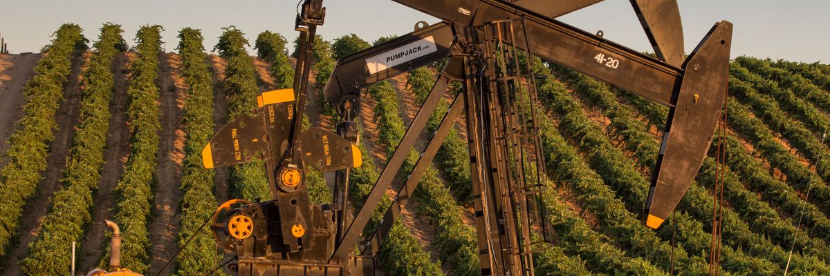 Oil pumping rigs adjacent to a vineyard are seen north of Bakersfield, California on July 8, 2021.