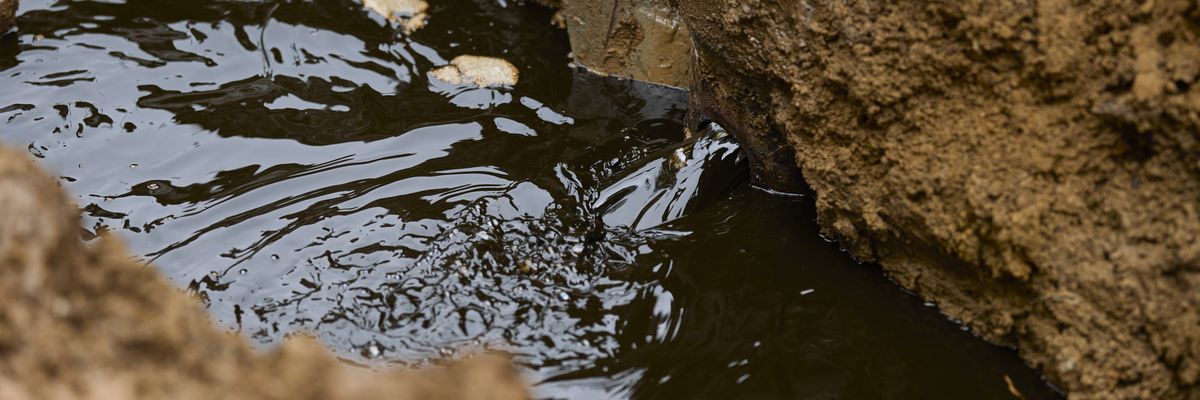 Oil pushed out of an orphaned well.