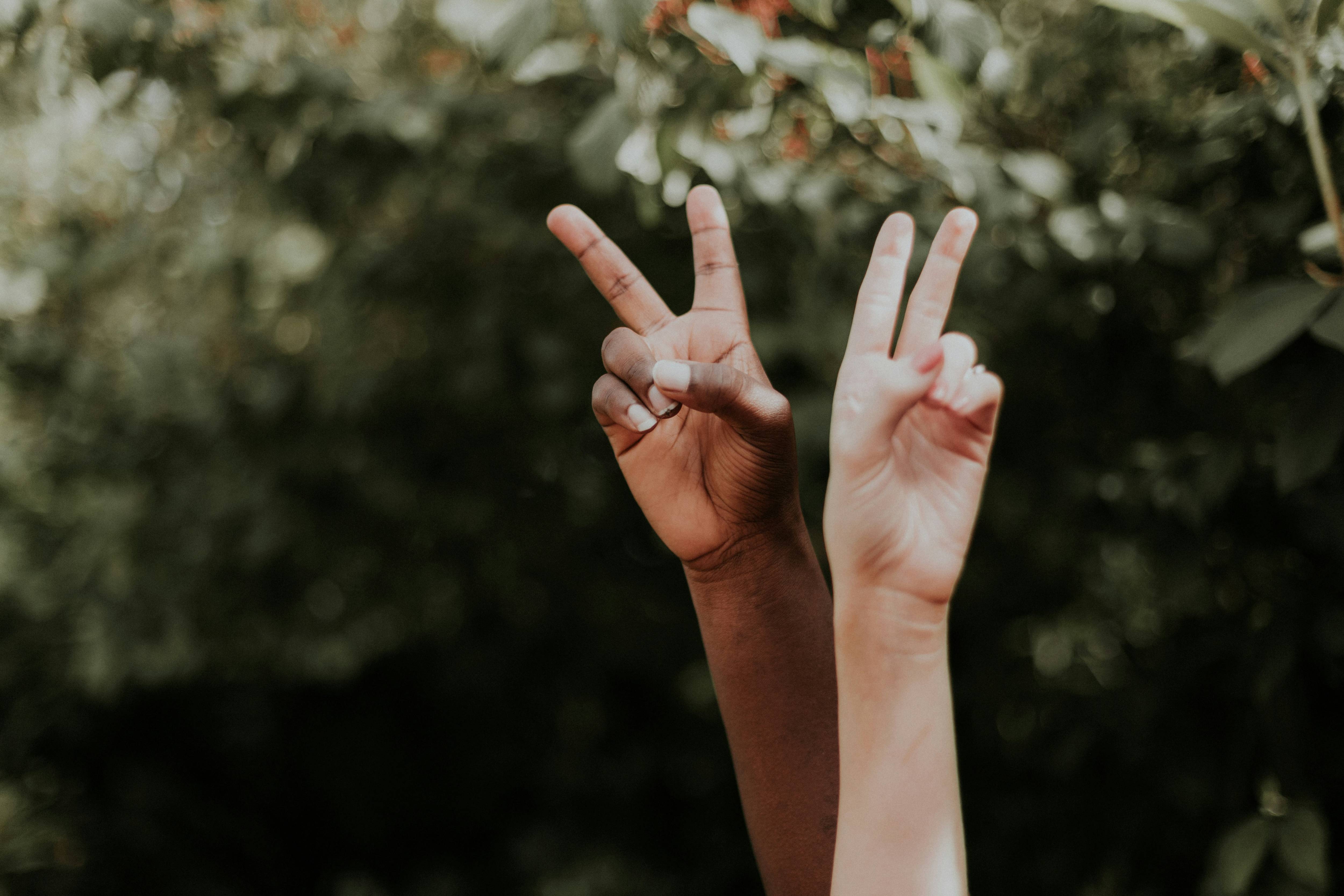 One dark- and one light-skinned hand make peace signs.