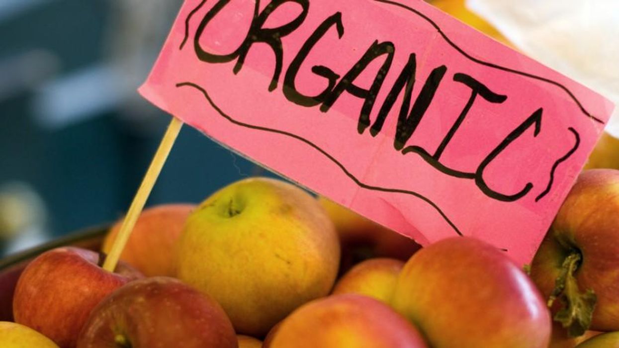 New Study Reveals Organic Diets Significantly Reduce Glyphosate Levels