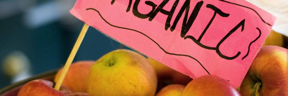 Organic Farms Are Under Attack From Agribusiness, Weakened Standards