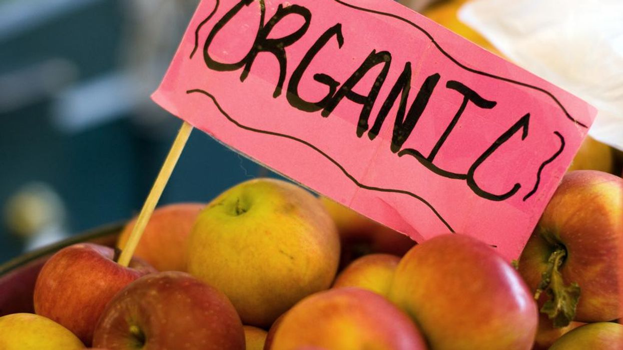 Organic Farms Are Under Attack From Agribusiness, Weakened Standards
