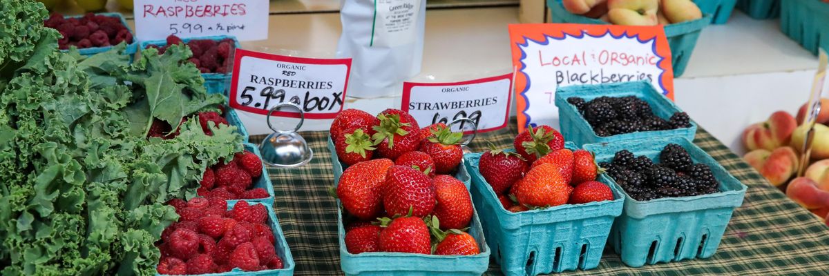 organic produce for sale
