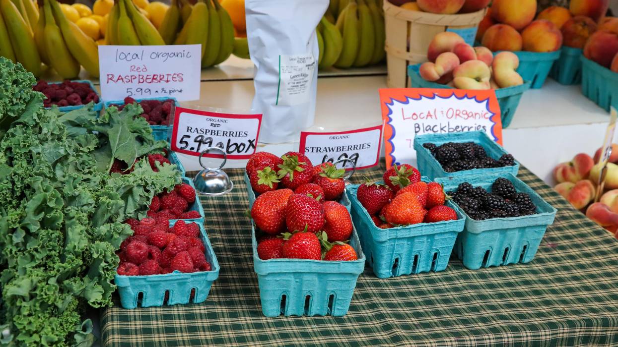 organic produce for sale