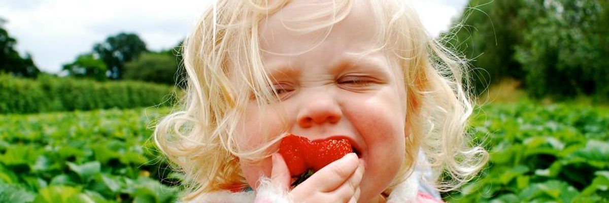 Democratic Bill Banning Toxic Pesticides in US Applauded as 'Much-Needed' Step to Protect Kids and the Planet