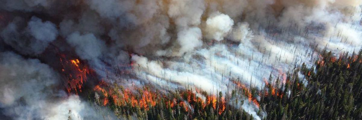 Will Wildfire Refugees in Canada Finally Spur Action on Climate Change?