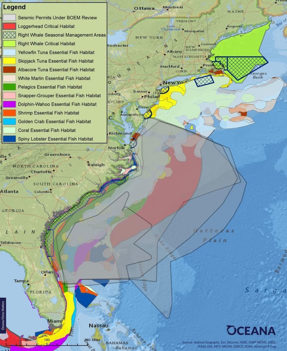 Overlap of Proposed Seismic Airgun Blastin Areas and Essential Fish Habitat and Critical Habitat in the Atlantic (Image: Oceana)