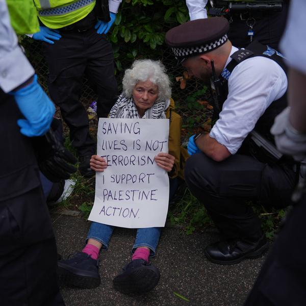 Palestine Action court case