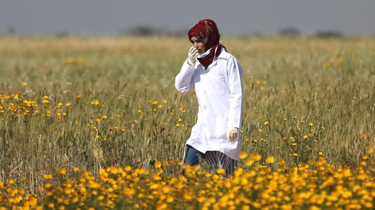 The Fallacy of Israel's Human Shields Claims in Gaza