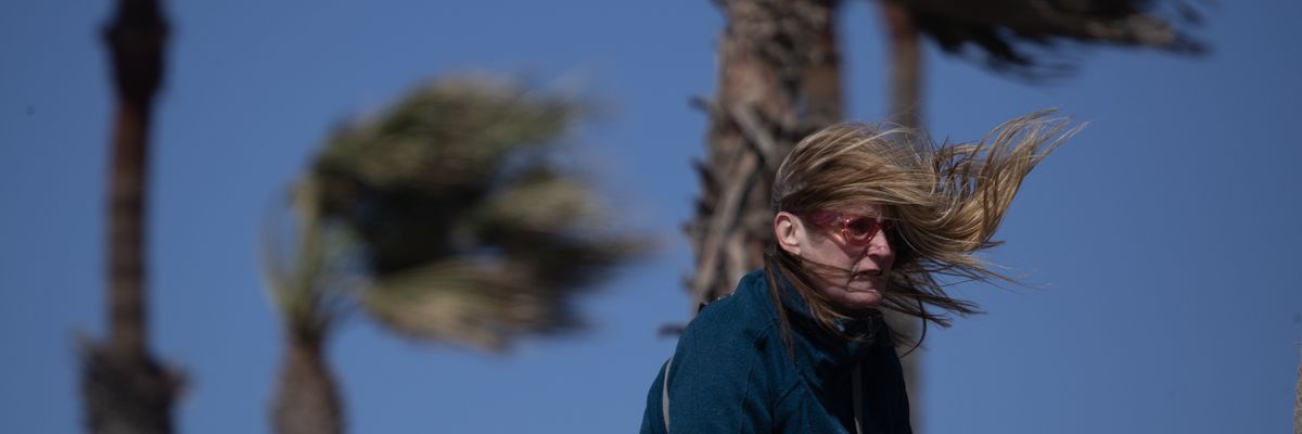 Palm trees and person's hair are blown along with sand and gusty cold air along the bike path in Huntington Beach, California on February 22, 2023.
