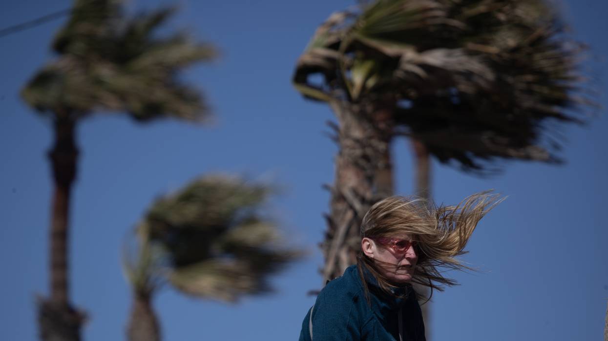 Palm trees and person's hair are blown along with sand and gusty cold air along the bike path in Huntington Beach, California on February 22, 2023.