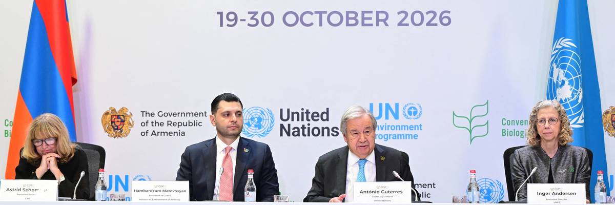 Panel on COP17
