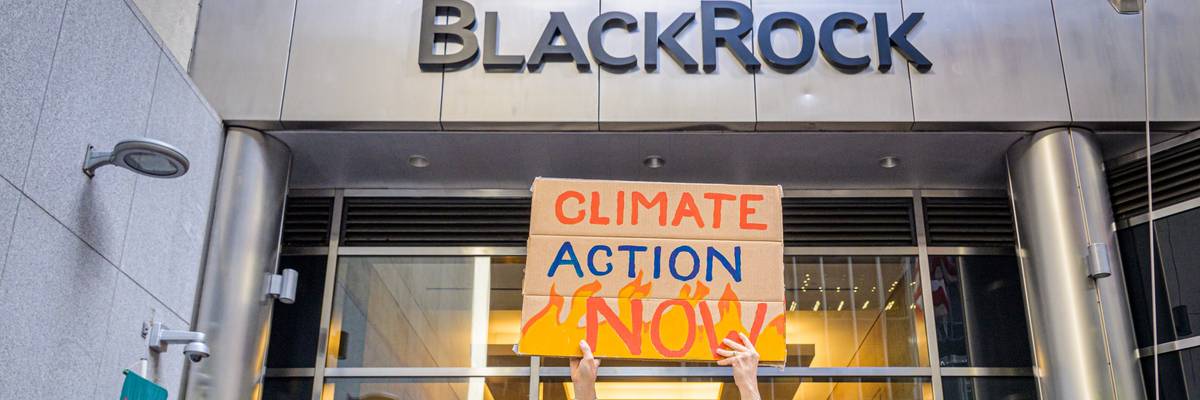 Participant seen holding a sign at Blackrock protest.