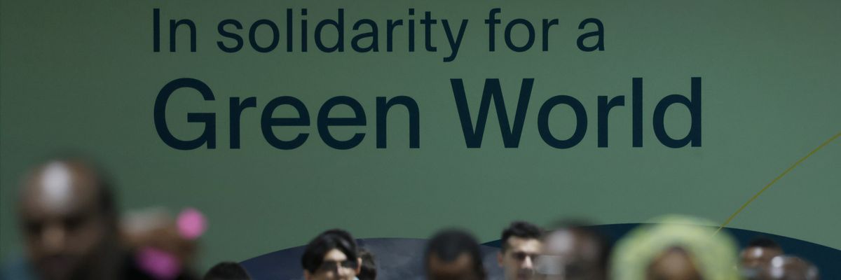 Participants at COP29.