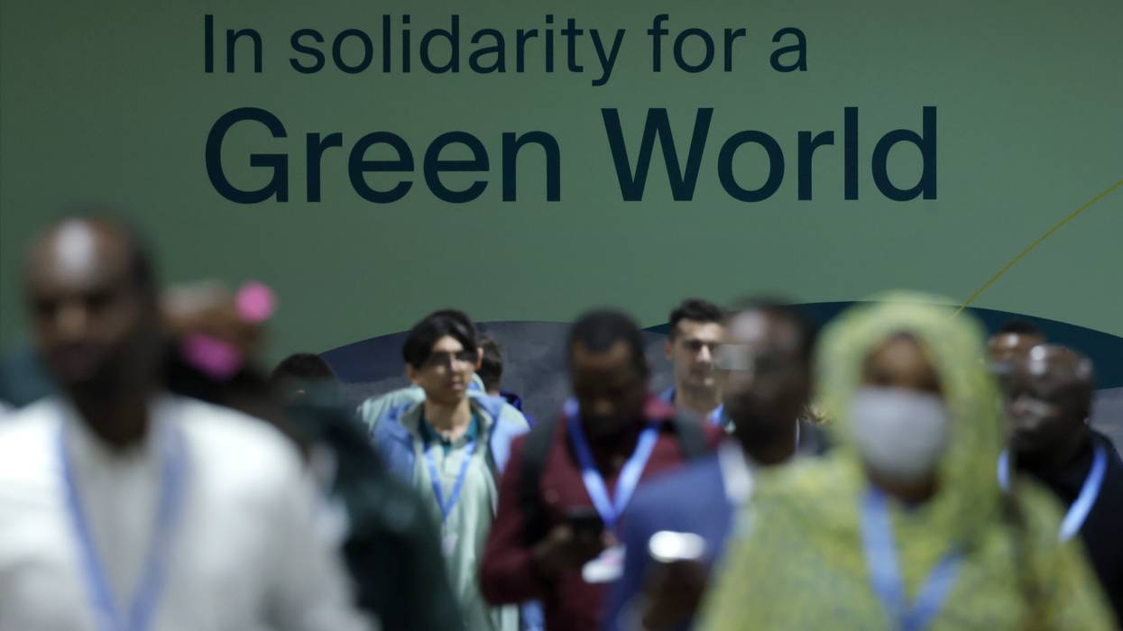 Participants at COP29.