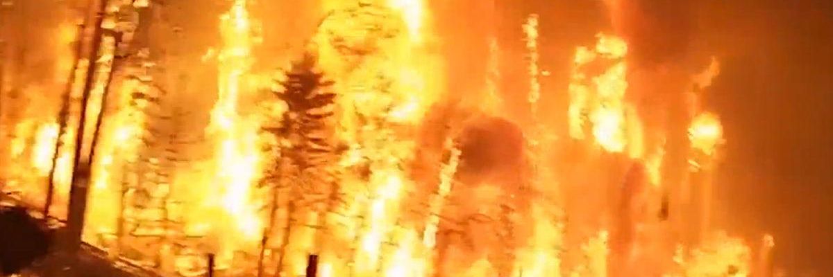 Network Newscasts Ignore Global Warming's Role in Canada's Wildfires