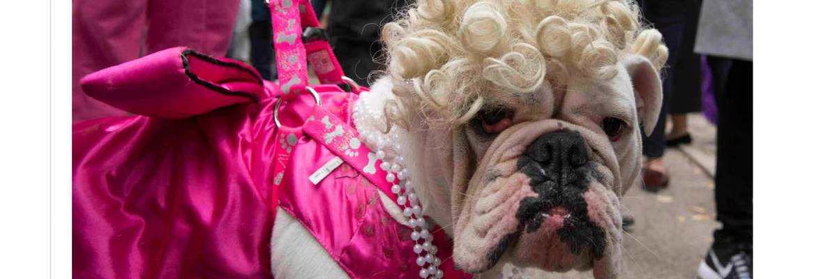 Patel on the FBI's newly lowered bestiality standards: "We have some great canines"