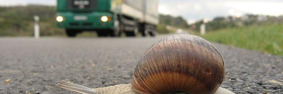 'Slowbalization': Is the Slowing Global Economy a Boon or Bane?