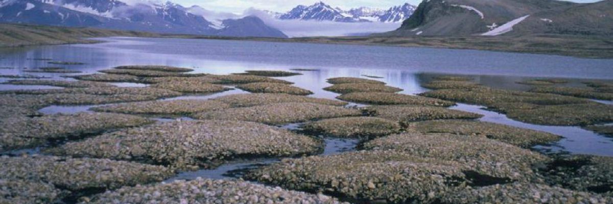 Melting Permafrost Could Cost World Economy $43 Trillion by 2100: Study