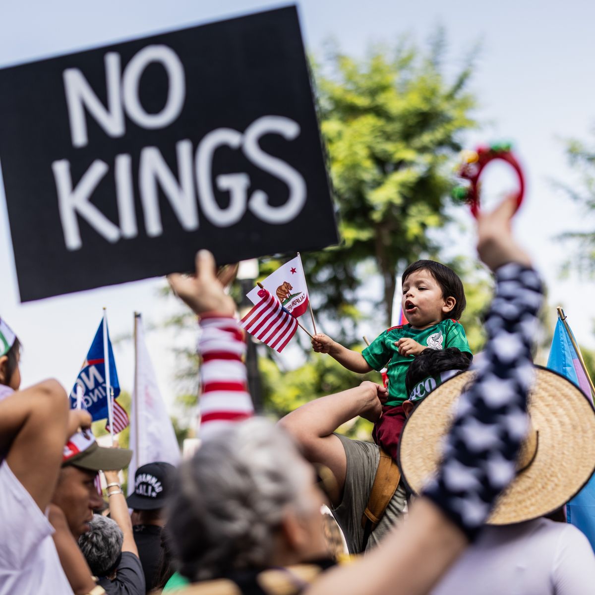Person holds up sign reading, "No Kings."