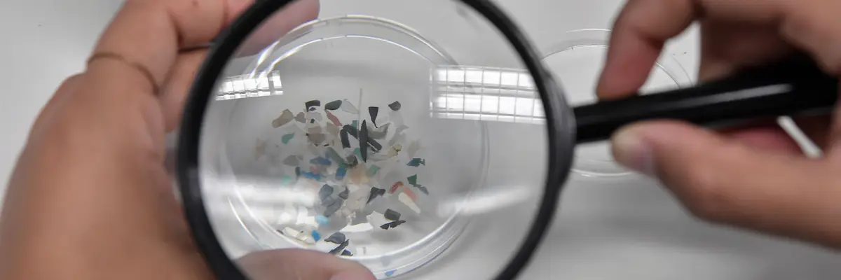 Person looks at microplastics under a magnifying glass.
