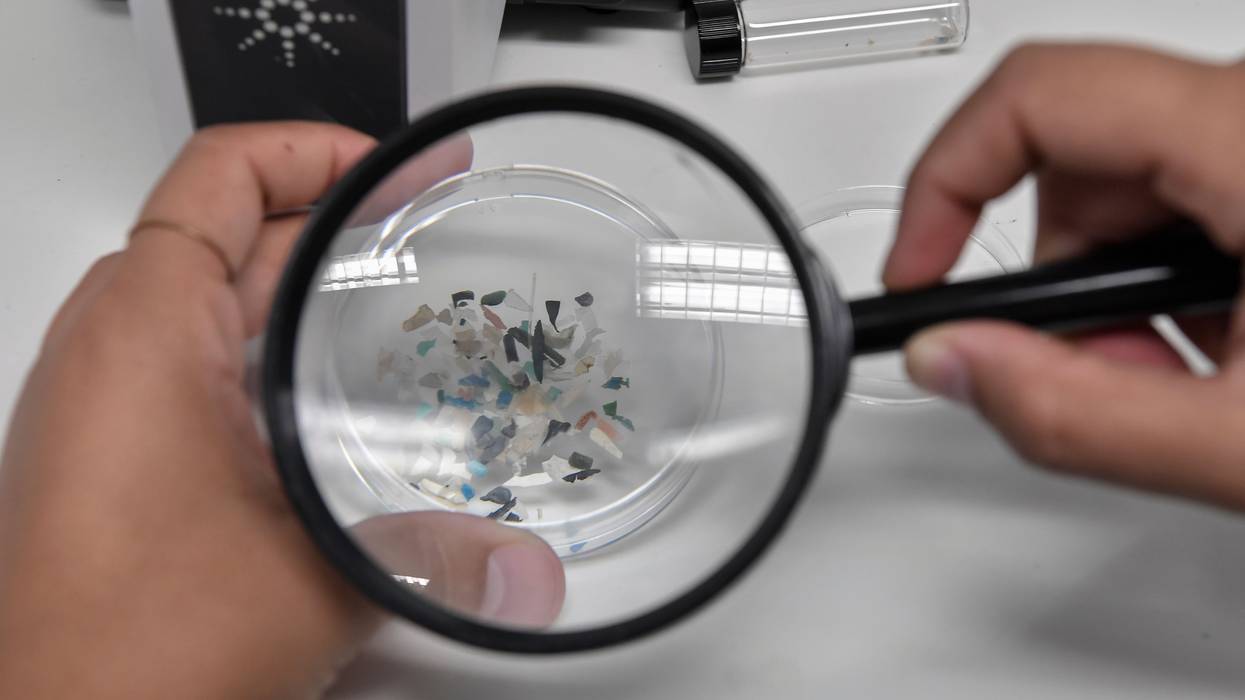 Person looks at microplastics under a magnifying glass.