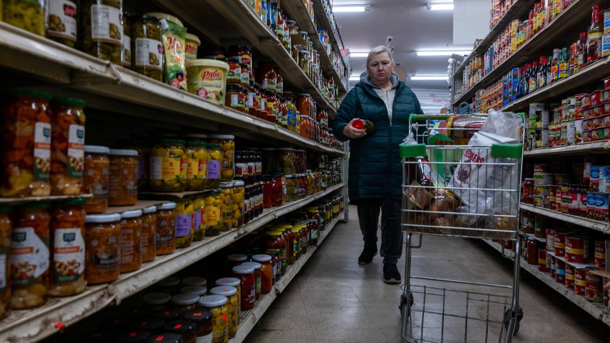 Person shops at grocery store