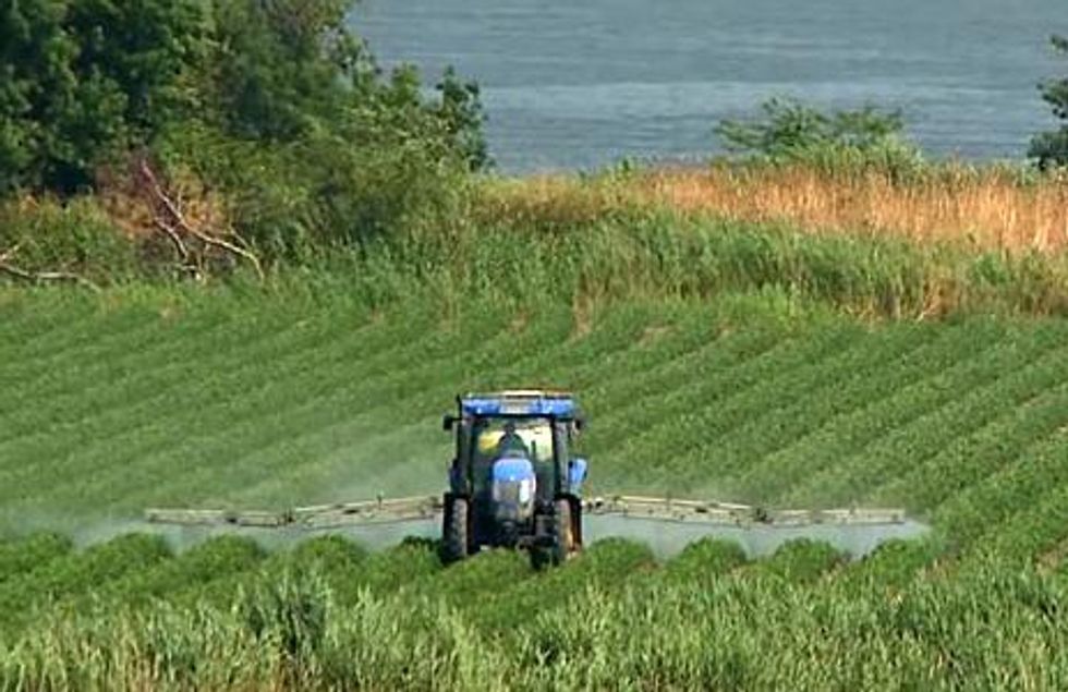 Pesticide Spraying