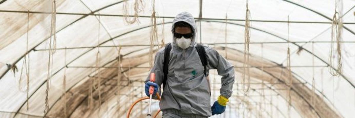 Amid Trump's Deregulatory Bonanza, UN Report Details 'Catastrophic' Impact of Pesticides
