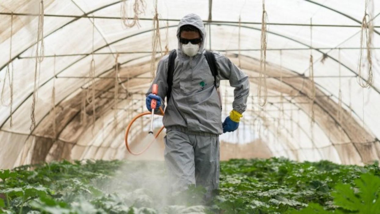 pesticides
