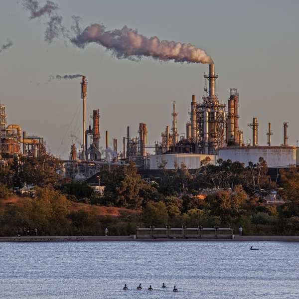 Phillips 66 oil refinery from Ken Malloy Harbor Regional Park