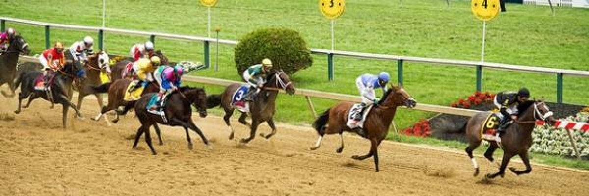 Horse Racing's Shame -- And Ours