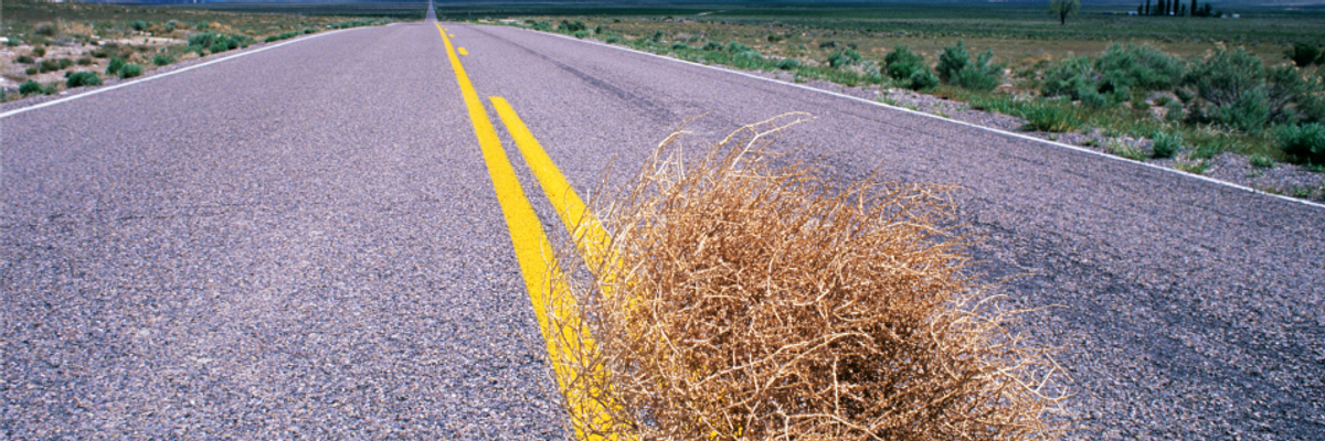 The So-Called "Middle Ground" and the Tyranny of Capitalism