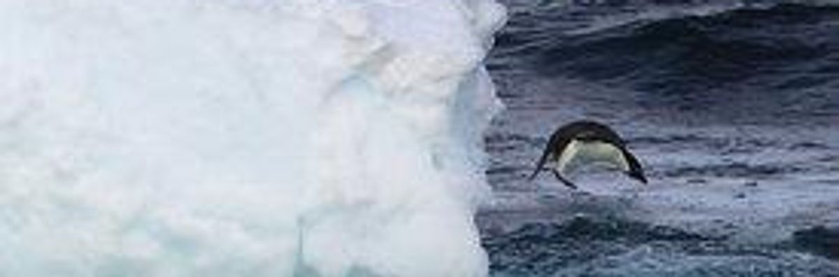 Unprecedented Warming in Antarctica Causes Worst Melting in 1,000 Years