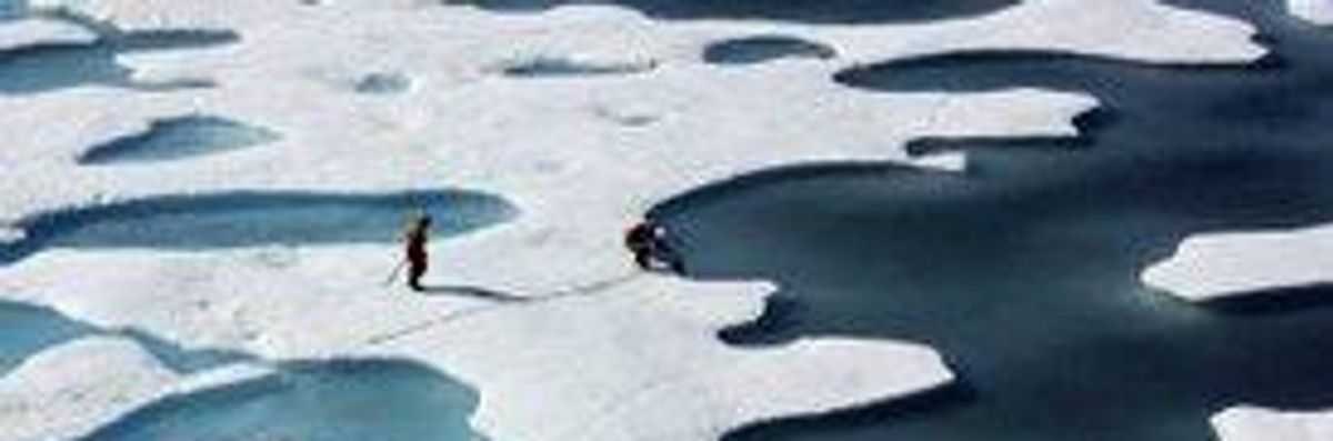 Arctic Sea Ice Could Vanish in 10 Years: Study