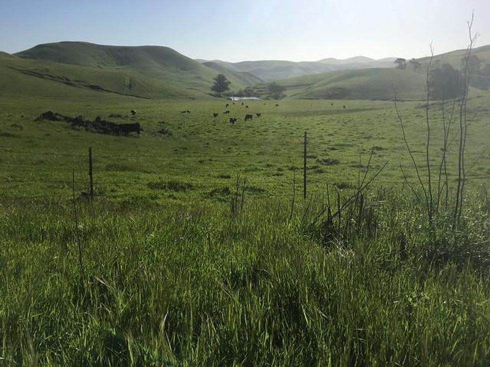 photo of Vallejo rolling hills