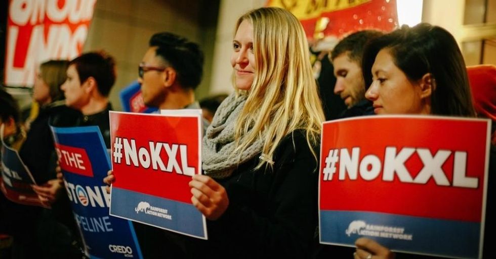 (Photo: Rainforest Action Network/flickr/cc)