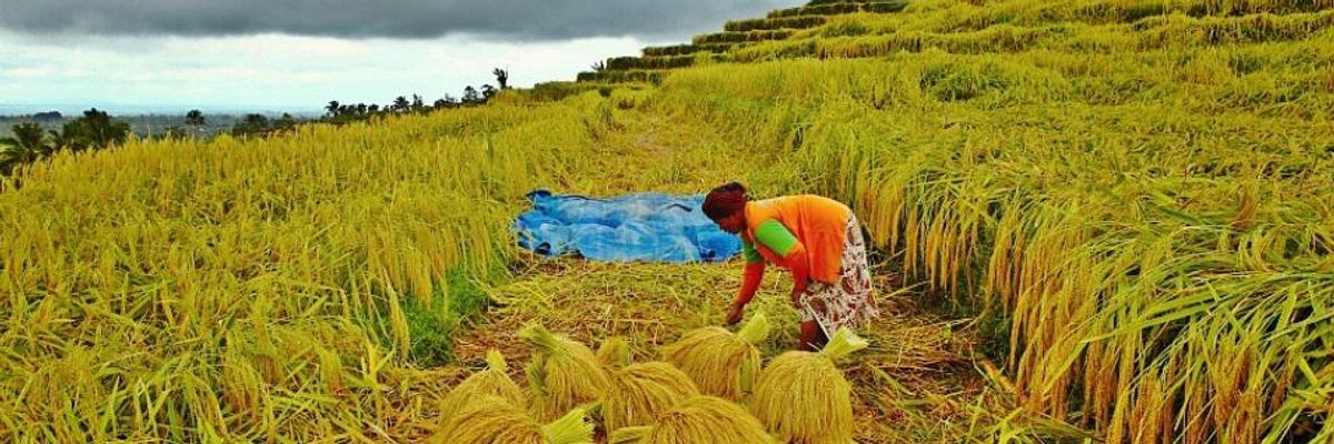 Why Hunger Calls for Support of Agroecology and Peasant-Led Solutions