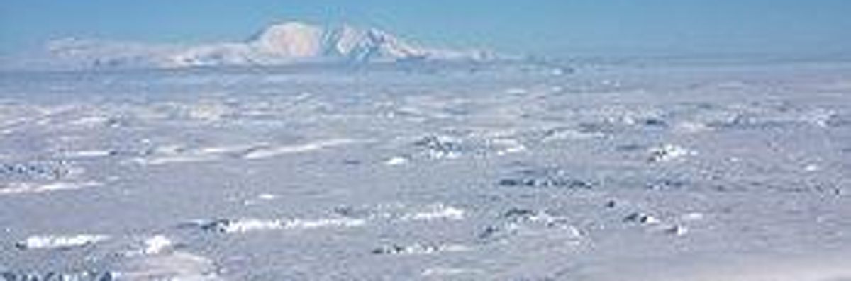 The Aliens Are Coming:  New Study Shows Invasive Seeds Threatening Antarctic