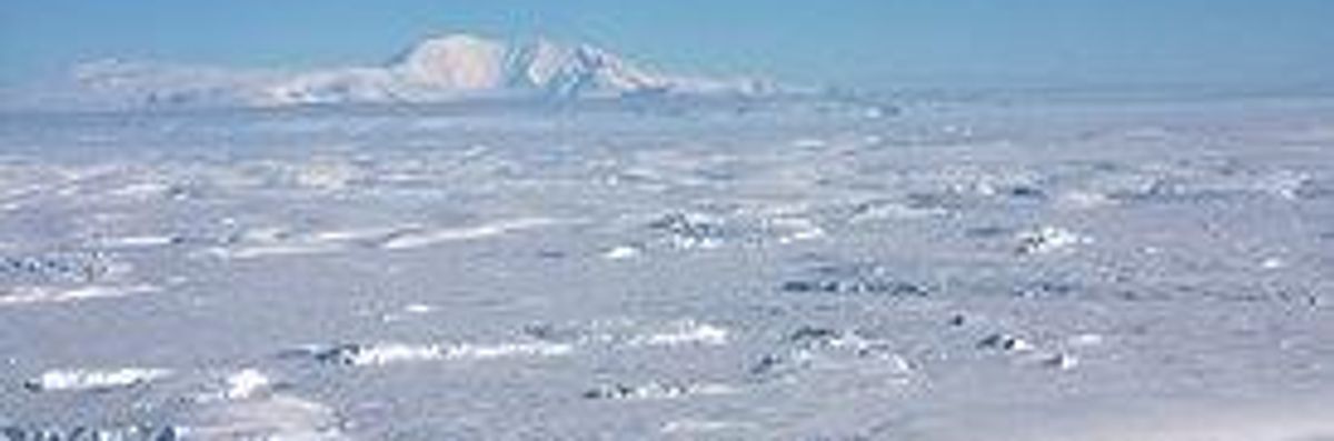 The Aliens Are Coming: New Study Shows Invasive Seeds Threatening Antarctic