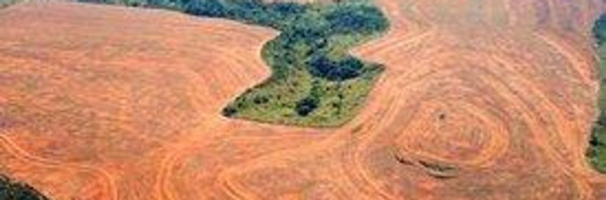 Nearly 93,000 Square Miles of Amazon Rainforest Destroyed in 10 Years